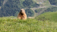 /album/30-et-31-mai-2026-sortie-a-saint-lary-soulan/6f1780df-8c9e-4439-8c16-2b3627261719-jpeg/