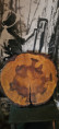 /album/17-mars-2024-lac-d-aureilhan/bb98cd1b-3551-4090-b71a-e24e6acfd02b-jpeg/